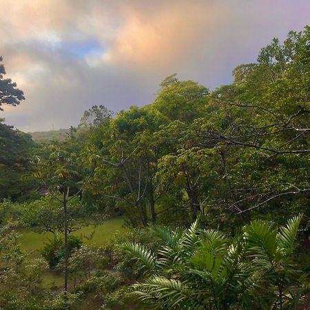 Yerbabuena Lodge Monteverde Dış mekan fotoğraf