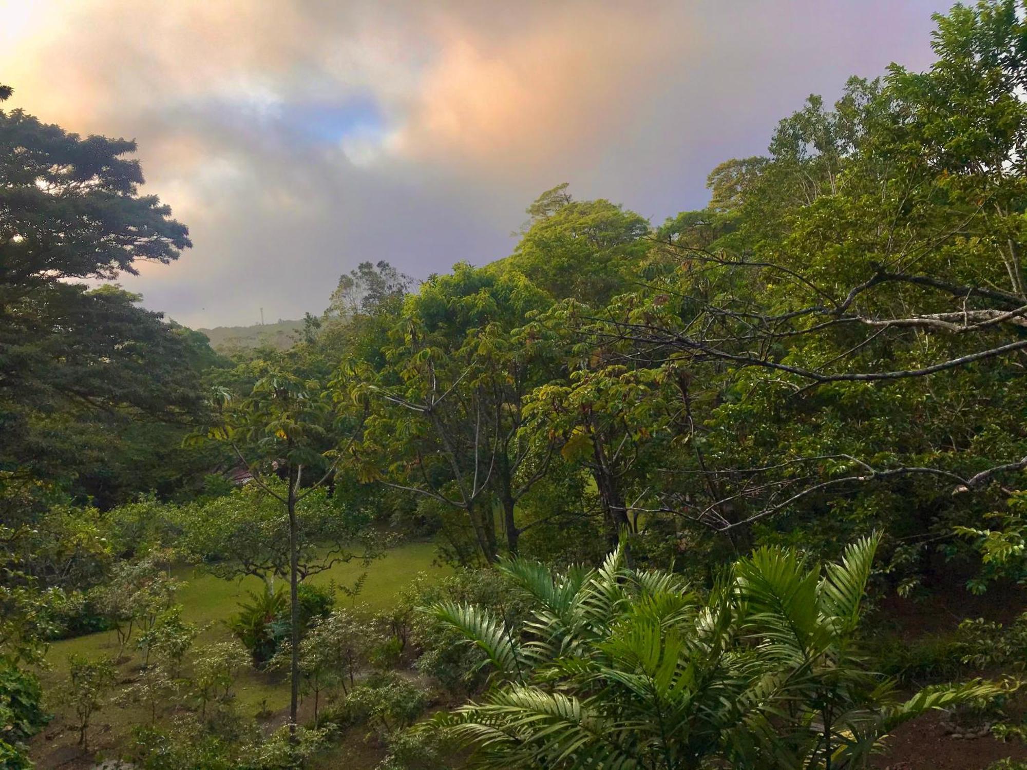 Yerbabuena Lodge Monteverde Dış mekan fotoğraf